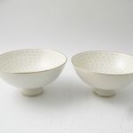 583 1306 BOWLS